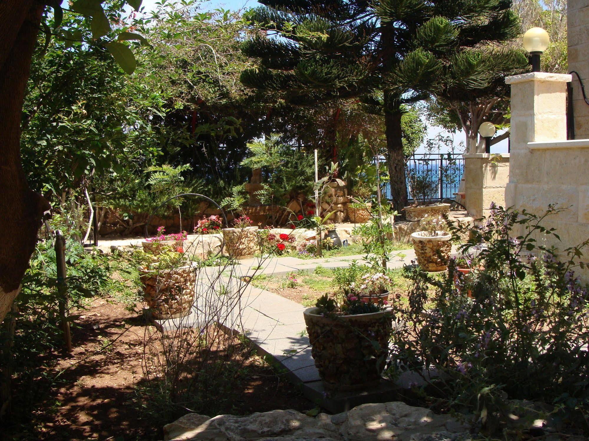 Tamer Guest House Haifa Exteriör bild